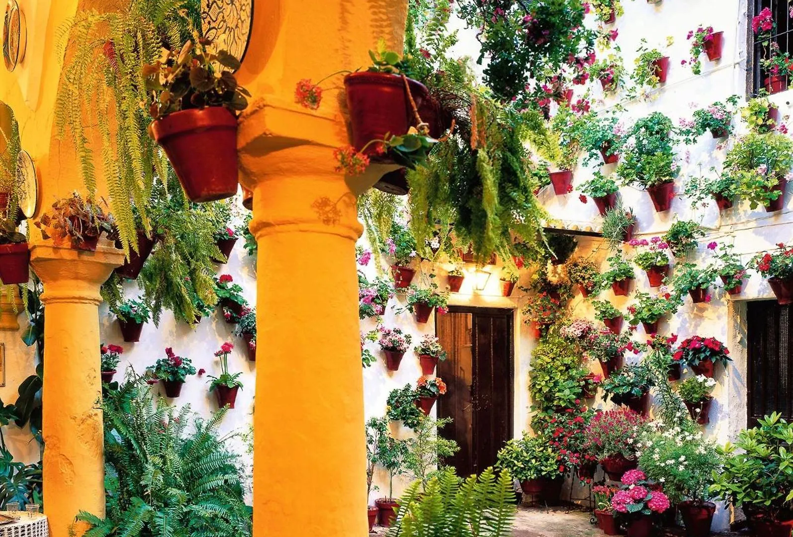 Apartment Sweet Home Alegria-Mascotas Cordoba Spain